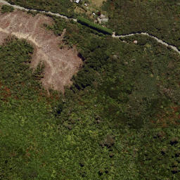 Satellite imagery of LEITH NO 2, NZ