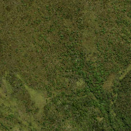 Satellite imagery of Swampy Spur, NZ