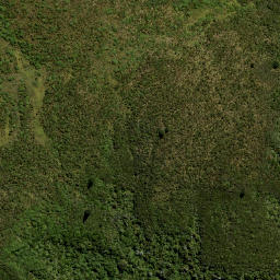 Satellite imagery of Swampy Spur, NZ