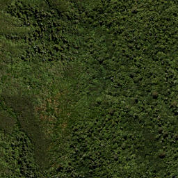 Satellite imagery of Swampy Spur, NZ