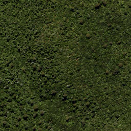 Satellite imagery of Leith Saddle, NZ