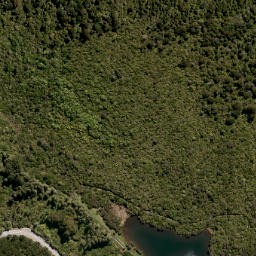 Satellite imagery of Leith Saddle, NZ