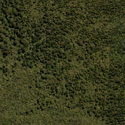 Satellite imagery of LEITH NO 2, NZ