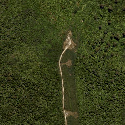 Satellite imagery of LEITH NO 2, NZ