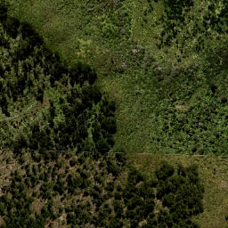 Satellite imagery of MT CARGILL NO 2, NZ