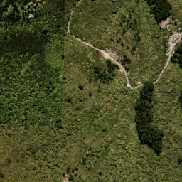Satellite imagery of MT CARGILL NO 2, NZ