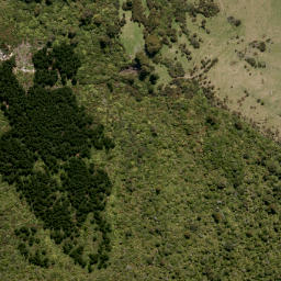 Satellite imagery of MT CARGILL NO 2, NZ
