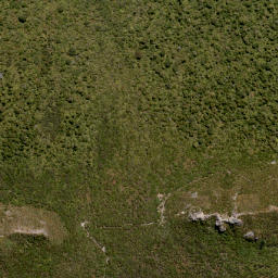 Satellite imagery of MT CARGILL NO 2, NZ