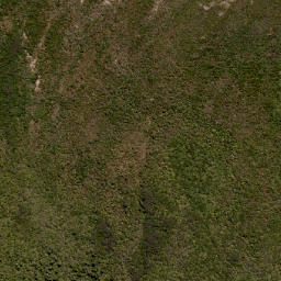 Satellite imagery of MT CARGILL NO 2, NZ