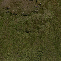 Satellite imagery of MT CARGILL NO 2, NZ