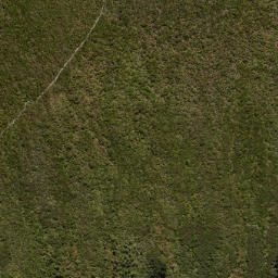 Satellite imagery of MT CARGILL NO 2, NZ