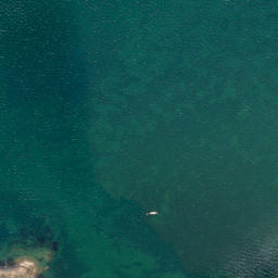 Satellite imagery of Quarantine Point, NZ