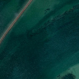 Satellite imagery of Curles Point, NZ