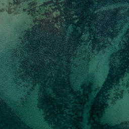 Satellite imagery of Yellow Head, NZ