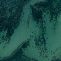 Satellite imagery of Yellow Head, NZ