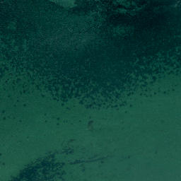 Satellite imagery of Yellow Head, NZ