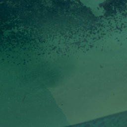 Satellite imagery of Yellow Head, NZ