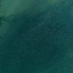 Satellite imagery of Curles Point, NZ