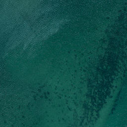Satellite imagery of Grassy Point, NZ