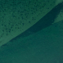 Satellite imagery of Grassy Point, NZ