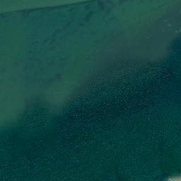 Satellite imagery of Yellow Head, NZ