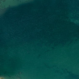 Satellite imagery of Yellow Head, NZ