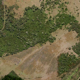 Satellite imagery of SIGNAL HILL SO 20336, NZ