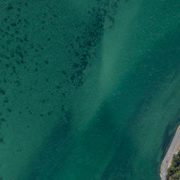 Satellite imagery of Grassy Point, NZ