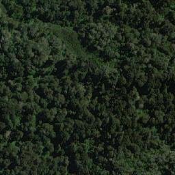 Satellite imagery of Punta Refugio, CL