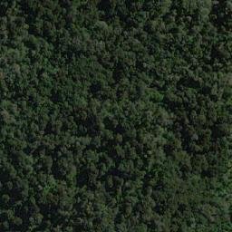 Satellite imagery of Punta Refugio, CL