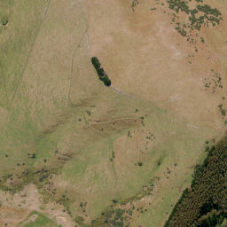 Satellite imagery of Larnach Castle, NZ