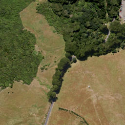 Satellite imagery of Larnach Castle, NZ