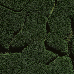 Satellite imagery of Pompis Pillar, NZ