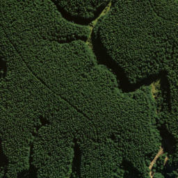 Satellite imagery of Pompis Pillar, NZ
