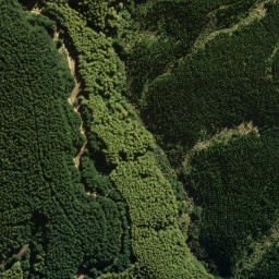 Satellite imagery of Pompis Pillar, NZ