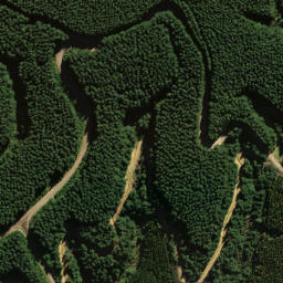 Satellite imagery of Pompis Pillar, NZ