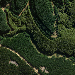 Satellite imagery of Pompis Pillar, NZ