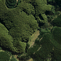 Satellite imagery of Pompis Pillar, NZ