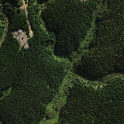 Satellite imagery of Pompis Pillar, NZ