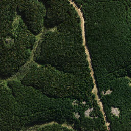 Satellite imagery of Pompis Pillar, NZ