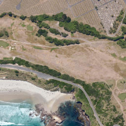 Satellite imagery of Lawyers Head, NZ