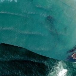 Satellite imagery of Pudneys Cliff, NZ