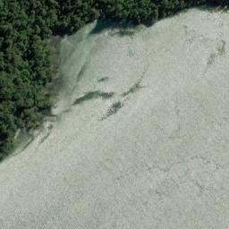 Satellite imagery of Two Cove Head, NZ