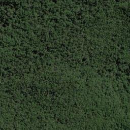 Satellite imagery of Mosquito Point, NZ