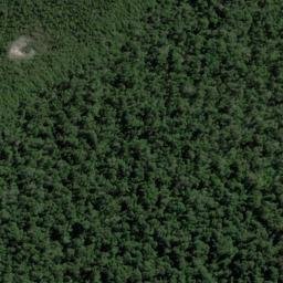 Satellite imagery of Mosquito Point, NZ