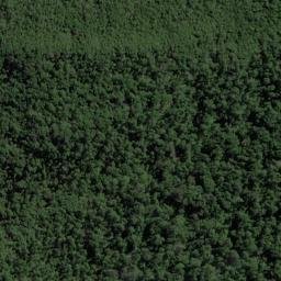 Satellite imagery of Mosquito Point, NZ