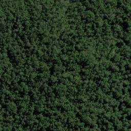 Satellite imagery of Mosquito Point, NZ