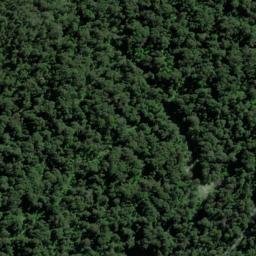 Satellite imagery of Mosquito Point, NZ