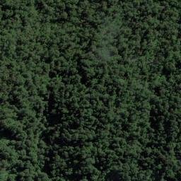 Satellite imagery of Mosquito Point, NZ
