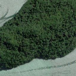 Satellite imagery of Shoal Point, NZ